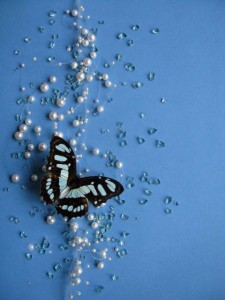 Blue Butterfly on blue backdrop with pearls and square clear beads