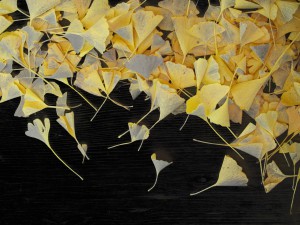 Ginko Skirts Robyn Beattie