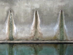 water angels by Robyn Beattie