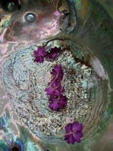 Abalone Blossoms Robyn Beattie