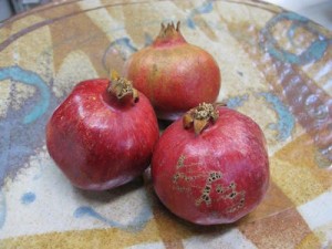 Three pomegranates Robyn Beattie