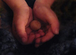 Seed Hands Robyn Beattie