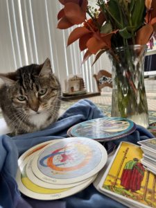 cat overlooking three tarot decks